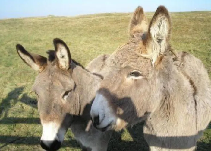 Garence Mit Eigener Terrasse By Interhome * Ravenoville