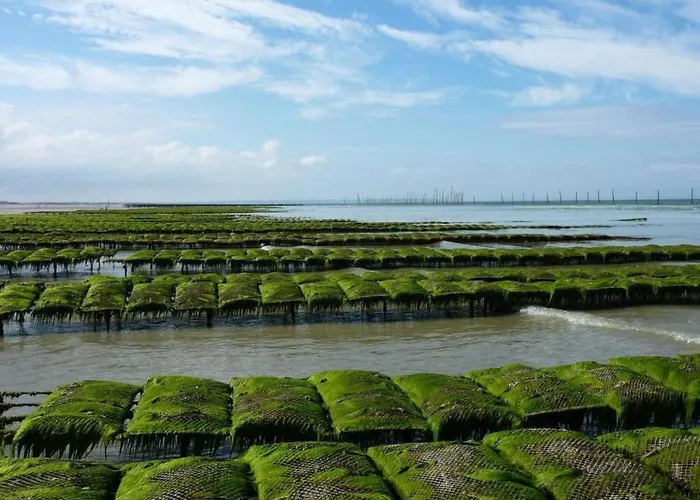 Garence Mit Eigener Terrasse By Interhome